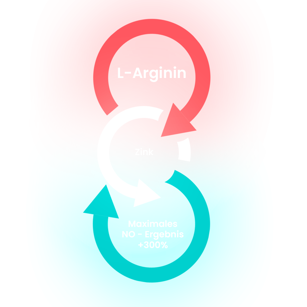 Kreislauf L-Arginin und Zink Maximale No-Ergebnis +300%